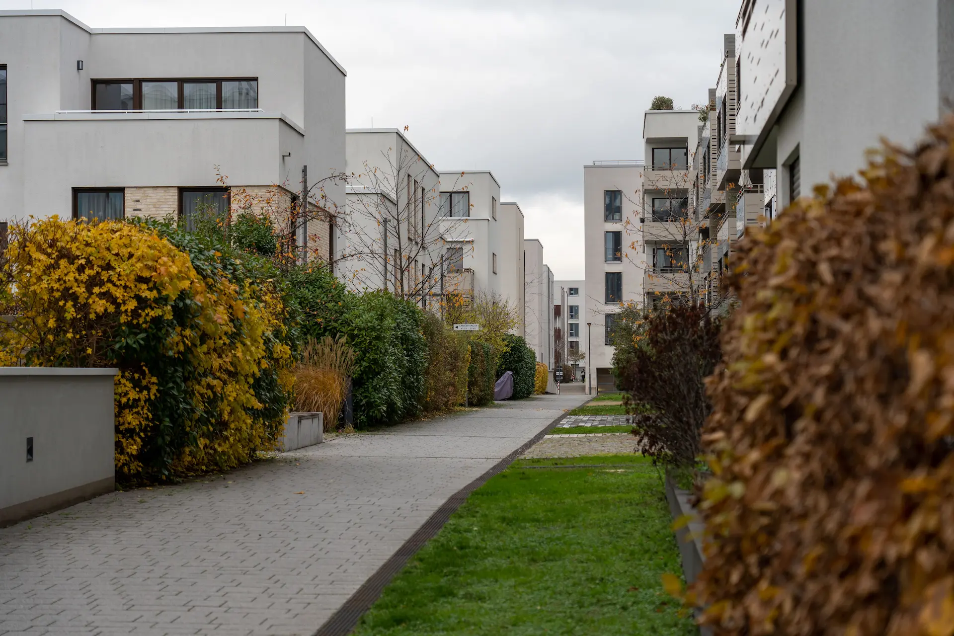 Quiet residential pathway between modern houses with hedges and greenery