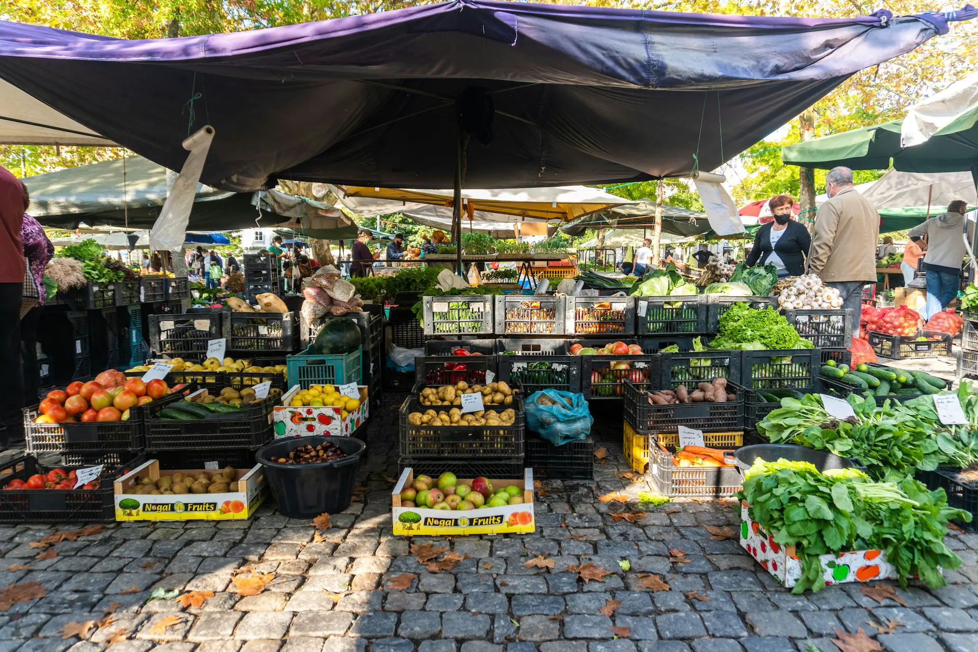 Wochenmarkt mit frischem Obst und Gemüse