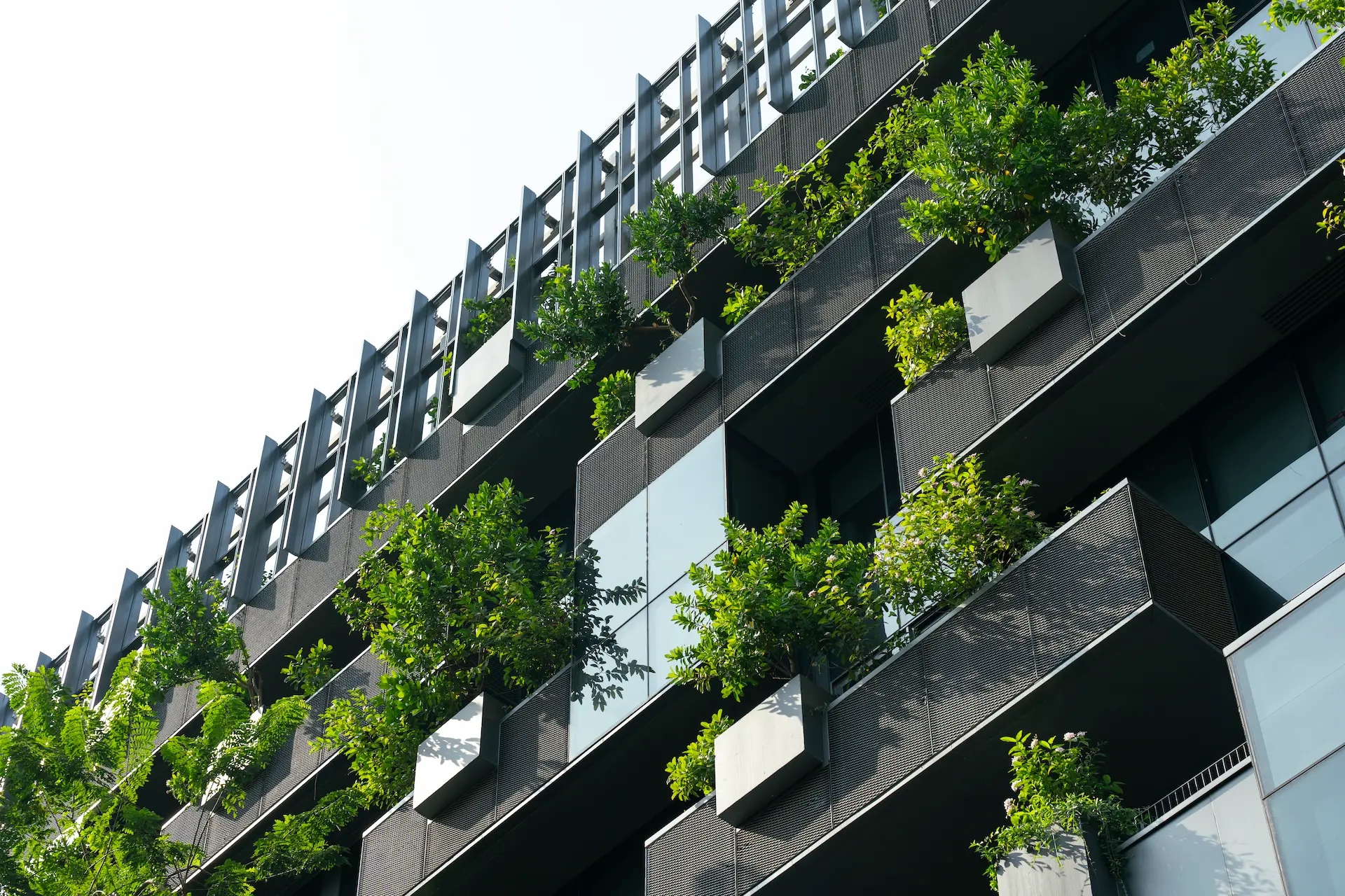 Modern building with a green facade and plants on balconies.