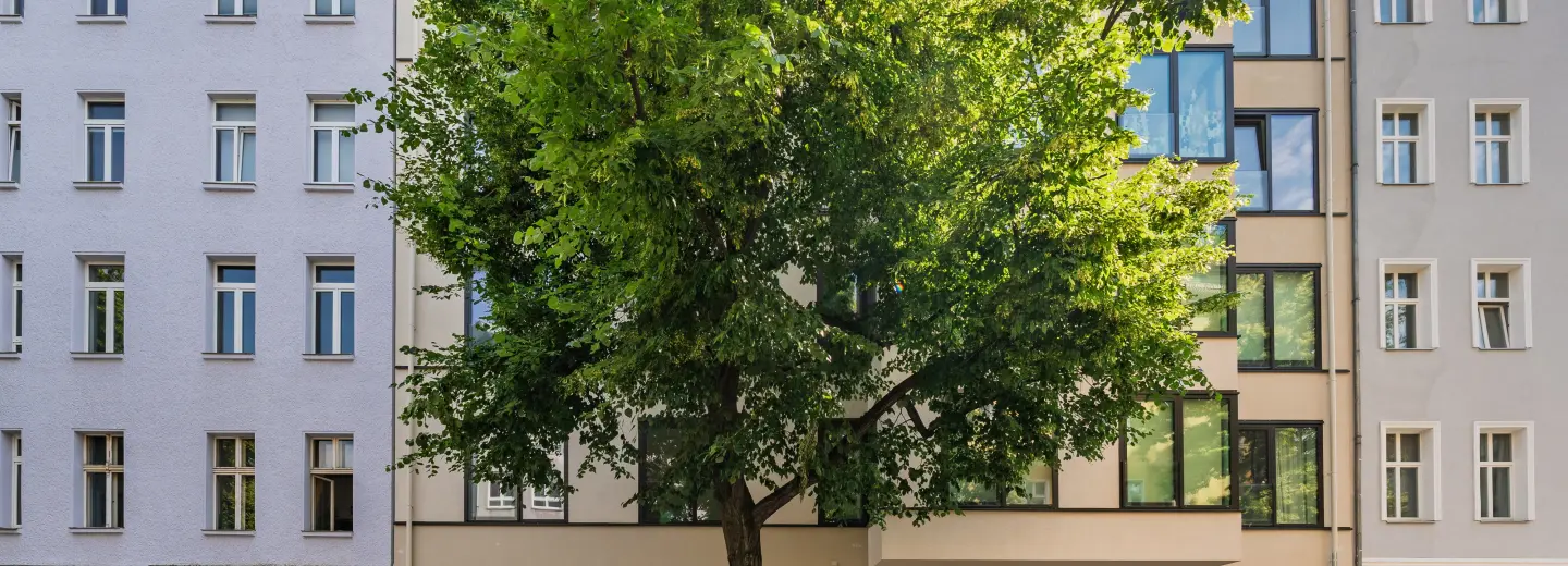 Straßenansicht des Neubaus
