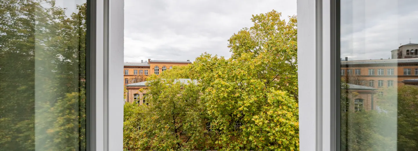 Ruhiger Ausblick ins Grüne