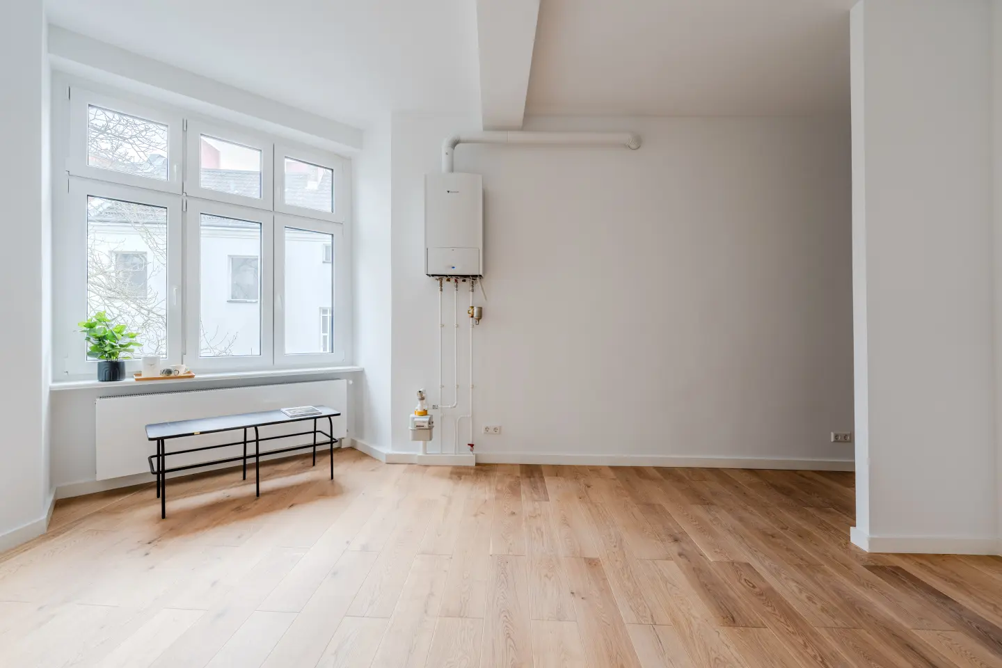 Lichtdurchflutete Wohnküche mit Altbaufenstern