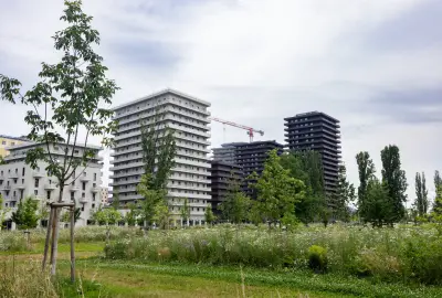 Moderne Wohnhochhäuser mit Grünfläche und Bäumen im Vordergrund